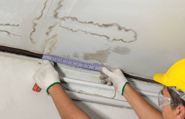 Reliable Mold Remediation contractor in Arlington, TN by Water Damage Irwin
